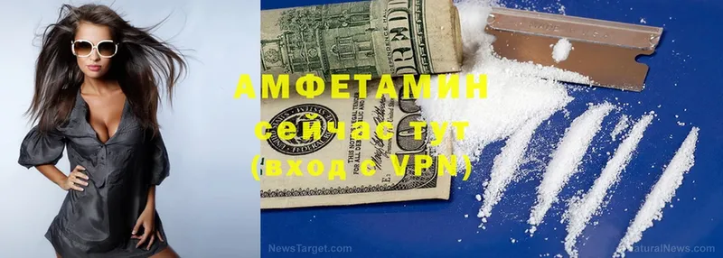 Amphetamine Premium  Дальнереченск 